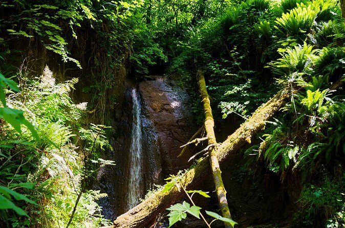 Trails Through Time Bellevue Coal Creek History Hike - Who This Tour Is Best For