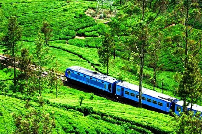 Train from Kandy to Colombo - Who Is This Tour Best For?