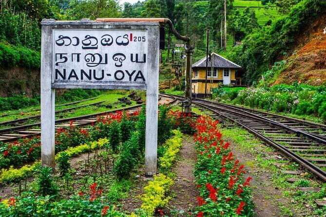 Train Tickets Reservation from Nuwara Eliya to Kandy or Colombo - What the Trip Looks Like: Step-by-Step