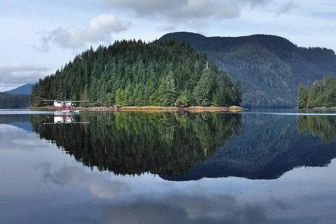 Traitors Cove Bear Viewing - Authentic Experiences and Real Reviews