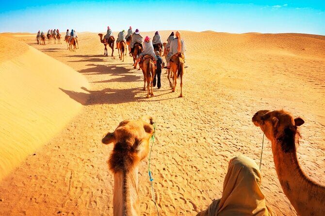 Tranquil Sands A Serene Desert Safari Experience - The Sum Up