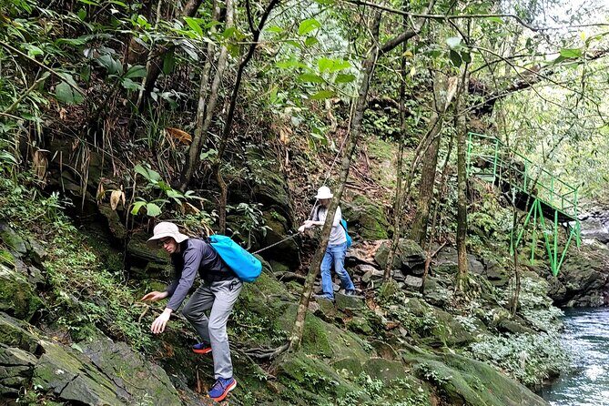 Transfer from Da Nang or Hoi An to Hue via Bach Ma National Park - Authentic Experiences and Genuine Value