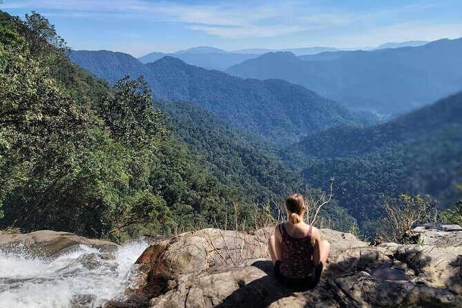 Transfer from Da Nang or Hoi An to Hue via Bach Ma National Park - Practical Details and Considerations