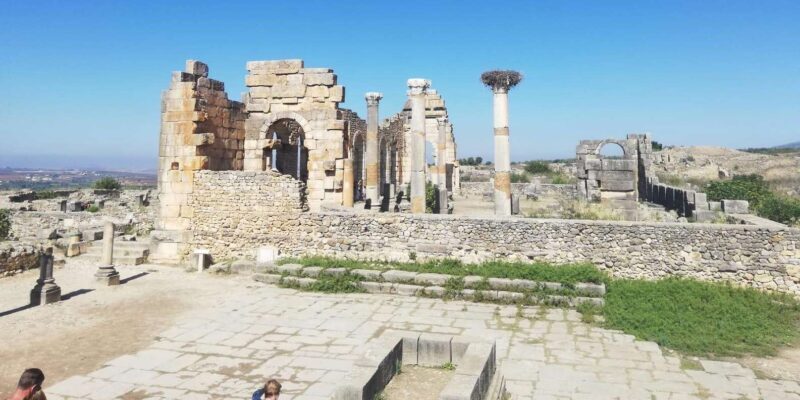 Transfer From Fes to Tangier via Volubilis and Chefchaouen - Key Points