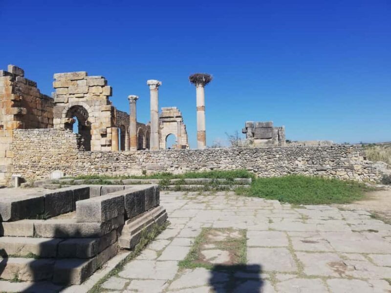 Transfer From Fes to Tangier via Volubilis and Chefchaouen - The Itinerary in Detail