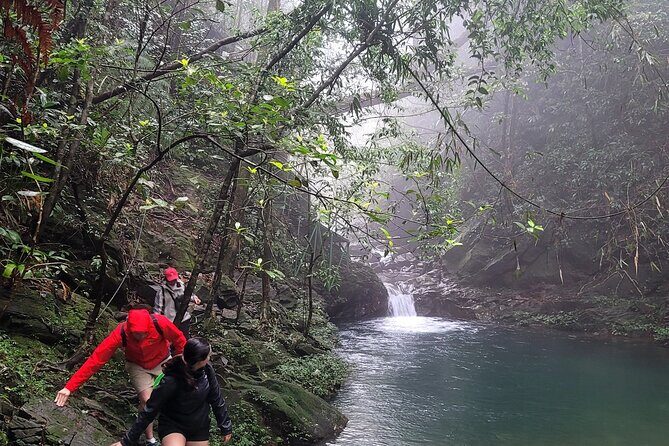Transfer from Hue to Da Nang or Hoi An via Bach Ma National Park - Practical Tips for Travelers