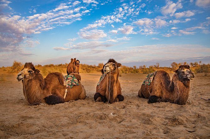 Transfer from Khiva to Bukhara by Fortresses - The Value of the Experience
