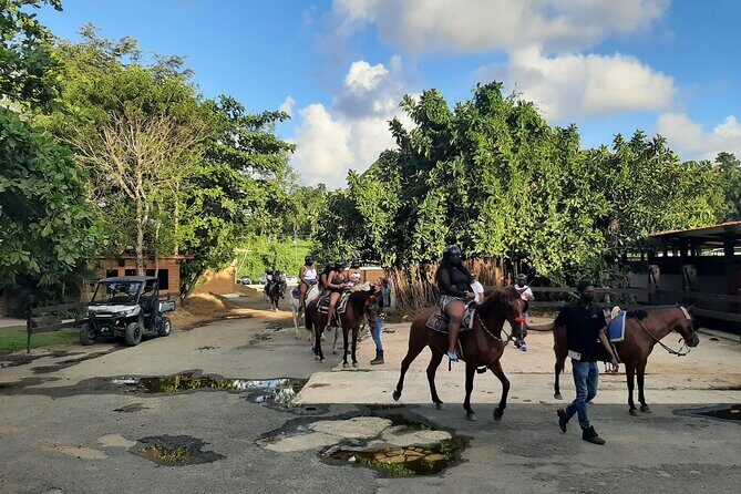 Transfer from San Juan to Dorado or Dorado to San Juan - The Experience: More Than Just a Ride
