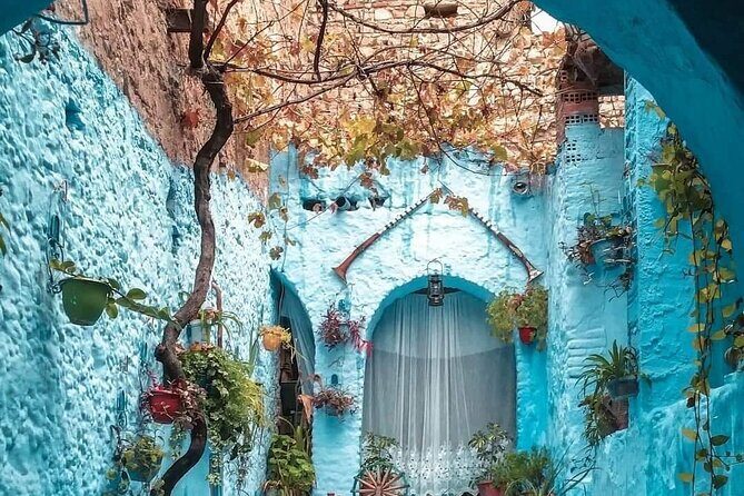 Transfers from Tangier to chefchaouen "blue city" - What Travelers Are Saying