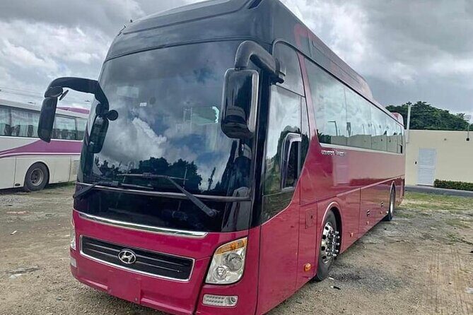 Transfers in Punta Cana Bávaro uvero alto - What to Expect on the Day