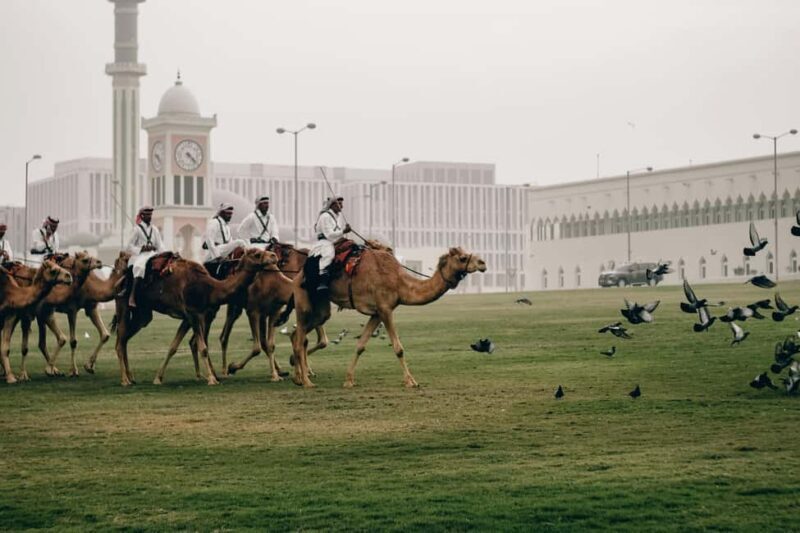 Transit Doha City Tours : Unforgettable Tour of Qatar - Who Should Consider This Tour?