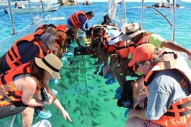 Transparent Boat Tour Cabo San Lucas Arch and Playa del Amor - Authentic Travelers’ Insights
