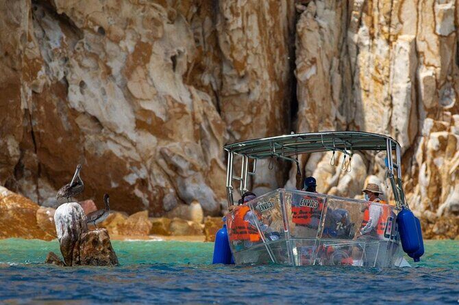 Transparent Boat Tour Cabo San Lucas Arch and Playa del Amor - The Sum Up: Who Will Love This Tour?