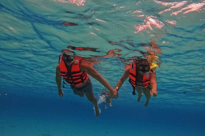 Transparent Boat Tour in Cozumel: See Marine Life Up Close - FAQ: Your Questions Answered