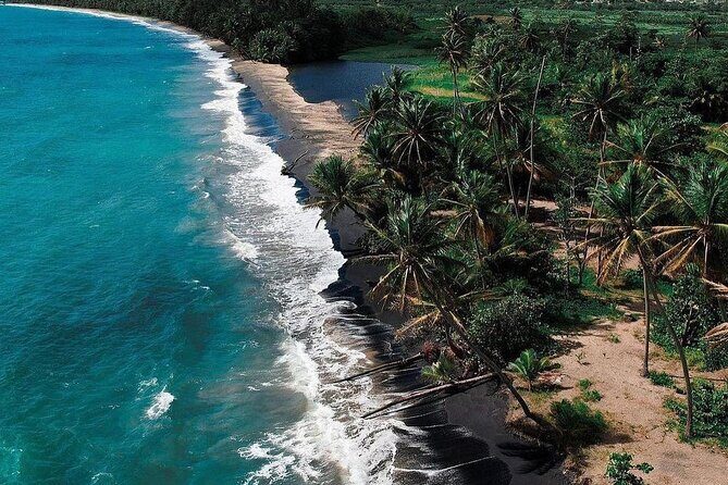 Transportation to Fajardo and Ceiba. Hotels and Airbnb vice versa One Way Trip. - Pricing and Value