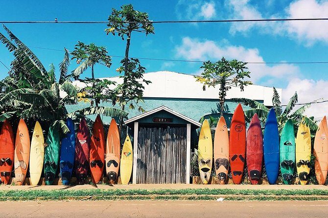 Transportation to North Shore - Exploring the North Shore: An Honest Review of the Honolulu to North Shore Tour