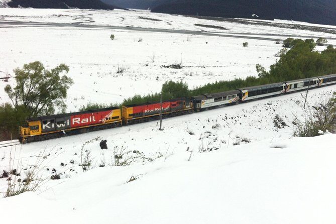 Tranz Alpine Train Tour - An In-Depth Look at the Tranz Alpine Train Tour