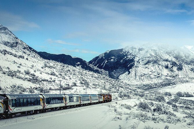 TranzAlpine Train Journey: Christchurch to Greymouth - Who Would Love This Tour?