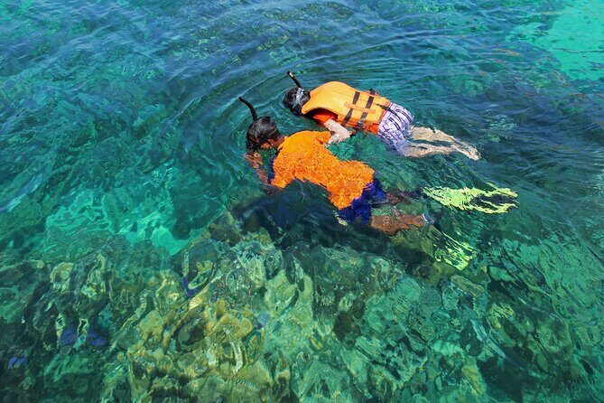 Travel ABOARD A JEEP and visit the most iconic places of Cozumel! - Key Points