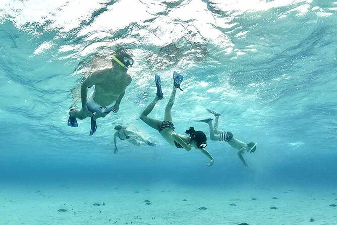 Travel ABOARD A JEEP and visit the most iconic places of Cozumel! - Why This Tour Is Worth Considering