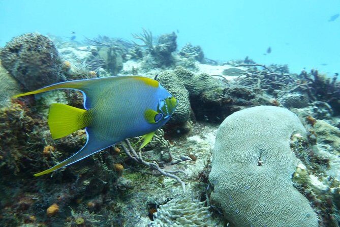 Travel ABOARD A JEEP and visit the most iconic places of Cozumel! - Final Thoughts