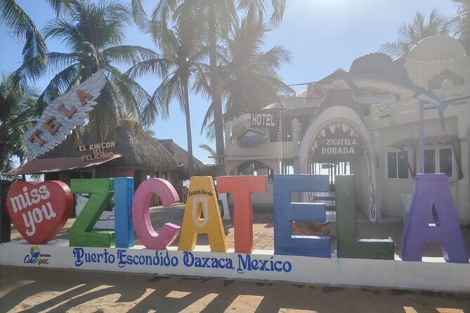 Travel from OAXACA to PUERTO ESCONDIDO by Private Transportation - An Honest Look at This Private Transfer Service