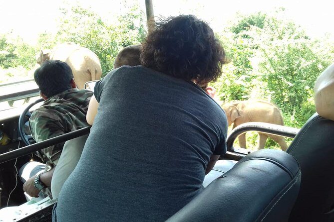 Travel to Ella from Galle with Udawalawe national park safari on the way - An In-Depth Look at the Experience