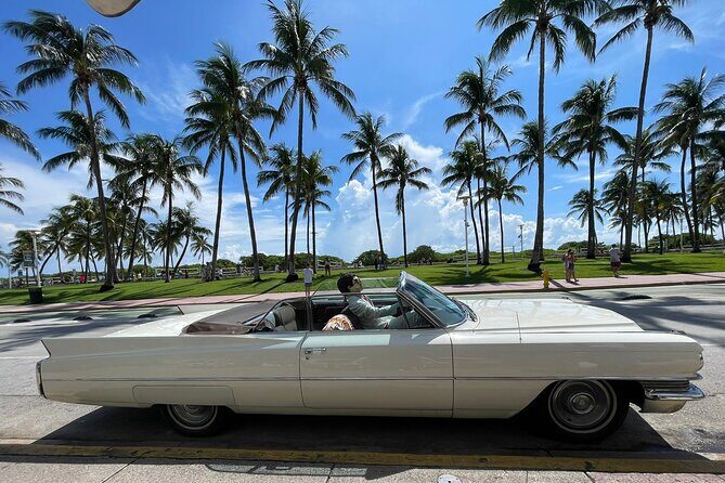 Traveler's Guide to Experience Miami 6-hour Tour - What Makes This Tour Stand Out?