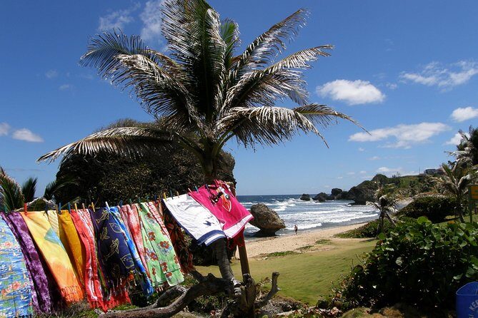 Treasures of Barbados Cave and Plantation Sightseeing Tour - The Sum Up: Who Is This Tour For?
