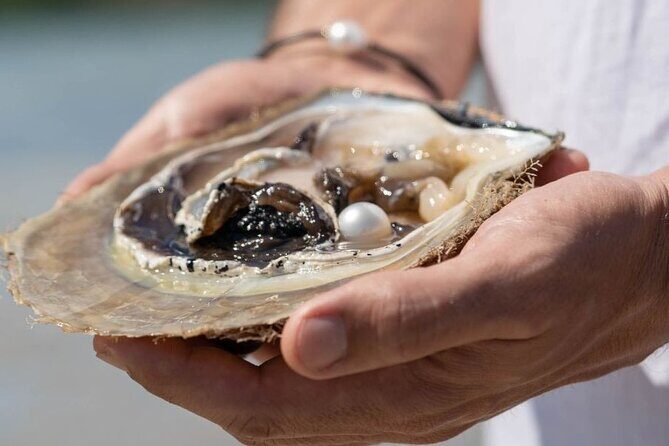 Treasures of Broome Tour - Detailed Breakdown of the Itinerary