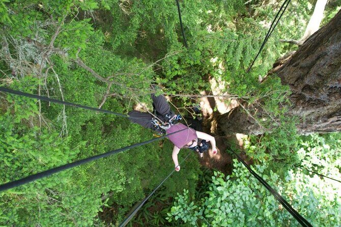 Tree Canopy Climbing on Lopez Island - Authentic Experiences and Honest Perspectives