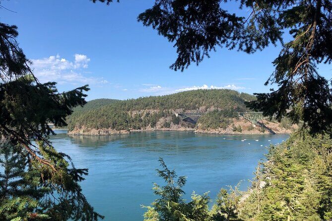 Tree Canopy Climbing on Lopez Island - Final Thoughts: Is It Worth It?