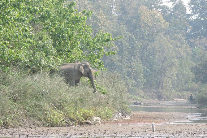 Tree House stay in Bardia National Park || 1 Night 2 Days - An In-Depth Look at the Experience