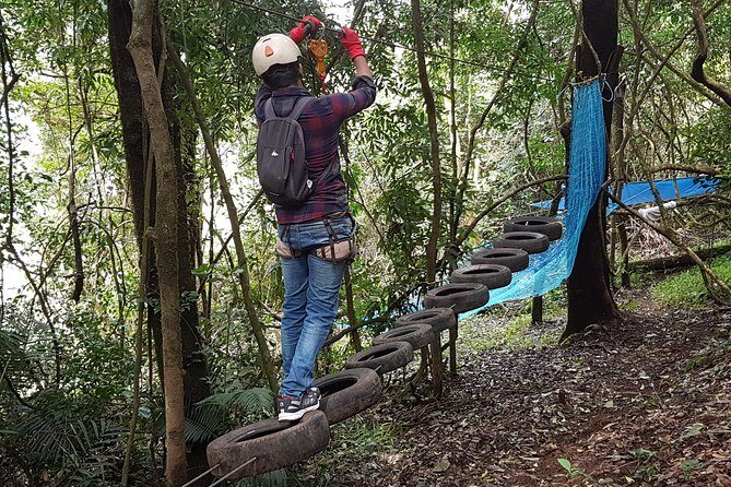Tree Top Adventure - An In-Depth Look at the Tree Top Adventure Experience