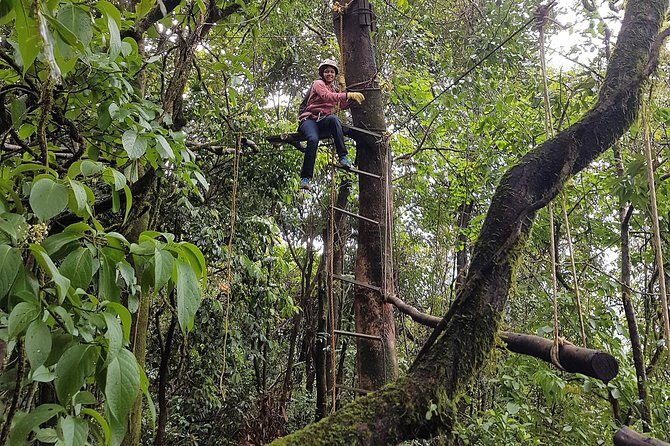 Tree Top Adventure - Final Thoughts