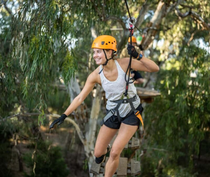 TreeClimb Adelaide: Thrilling Climb For Adventurers - Who Will Love TreeClimb Adelaide?