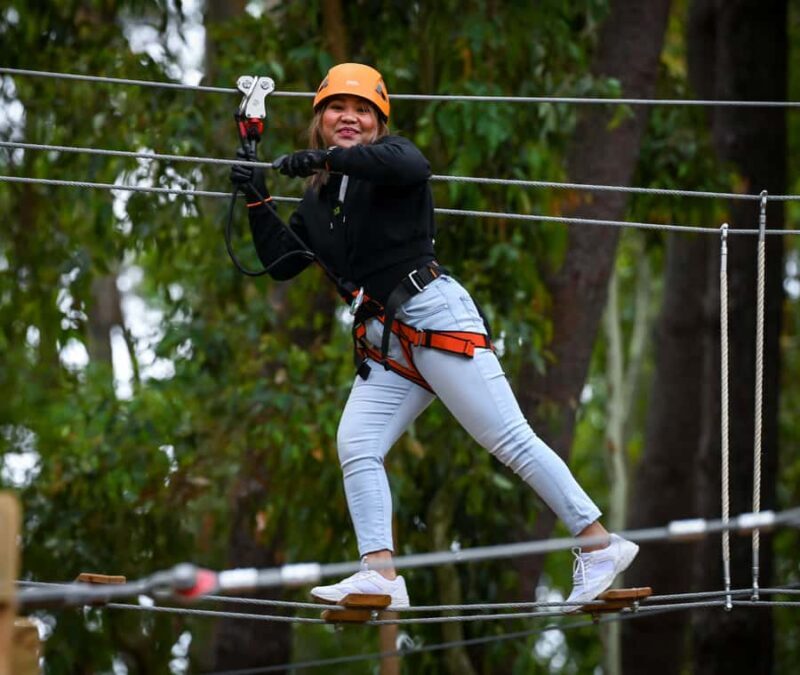 TreeClimb Kuitpo Forest: Exciting Treetop Climbing Adventure - Final Thoughts