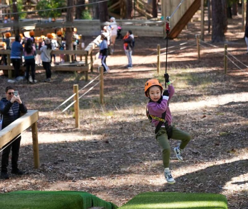 TreeClimb Kuitpo Forest: Treetop Fun For Little Adventurers - Key Points