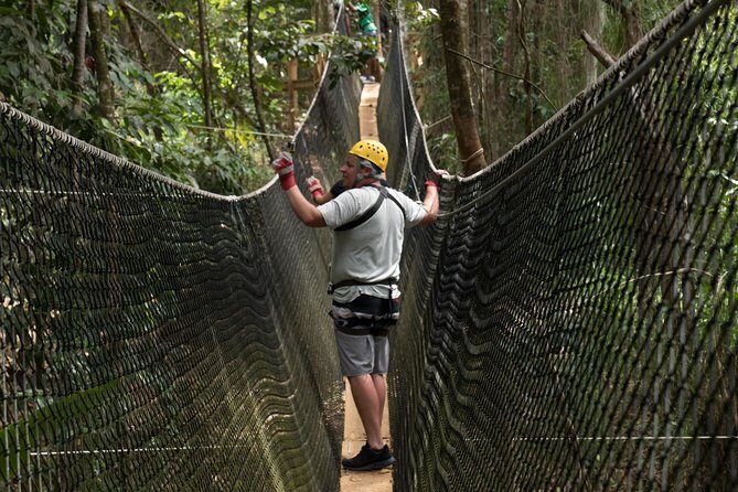 Treetop Adventure Park Canopy Tour - Key Points