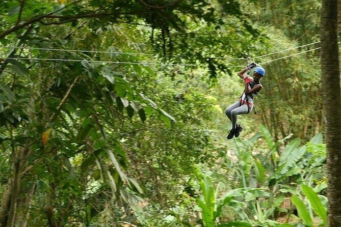 Treetop Adventure Park Canopy Tour - An Honest Breakdown: What You Can Expect from the Treetop Adventure Park Tour