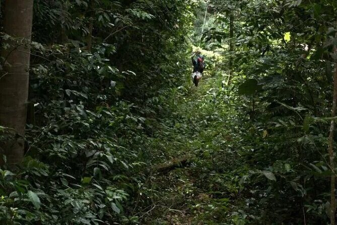 Treetop Adventure Park Canopy Tour - Final Thoughts