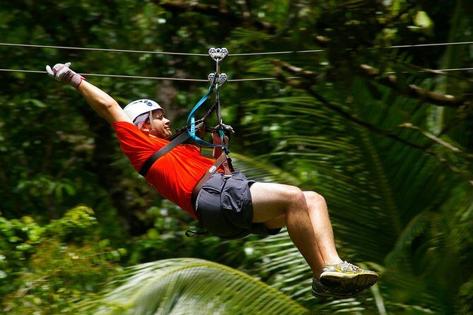 Treetop Canopy Adventure - An Overview of the Treetop Canopy Adventure