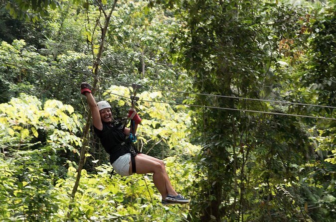 Treetop Canopy Adventure - Authentic Experience and Practical Tips