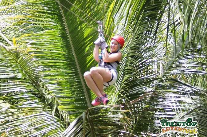 Treetop Canopy Adventure - Final Thoughts: Is It Worth It?