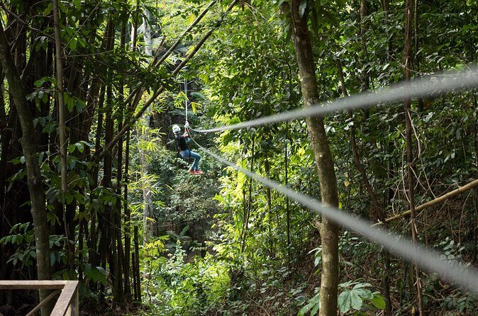 Treetop Canopy Adventure - Who Should Consider This Tour: