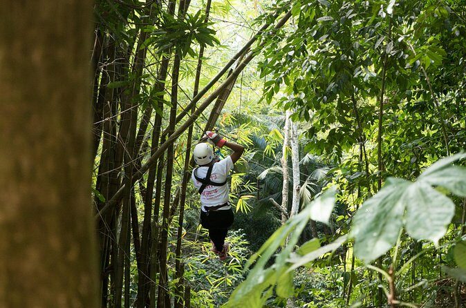 Treetop Canopy Adventure - FAQs