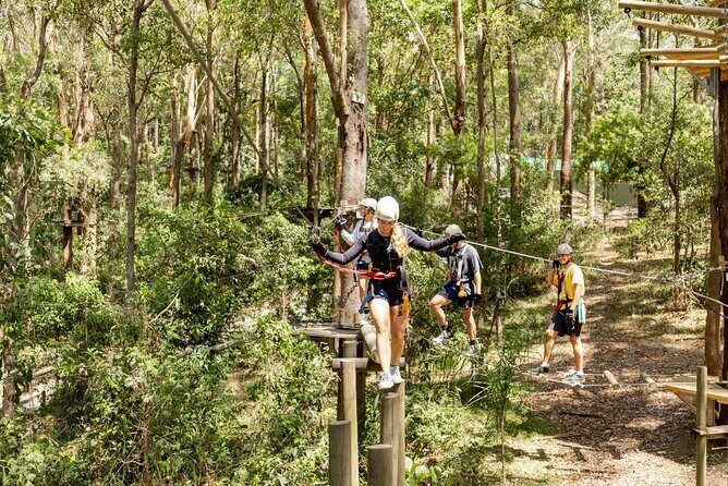 TreeTop Challenge Currumbin Wildlife Park - Discovering the Currumbin TreeTop Challenge: In-Depth Review