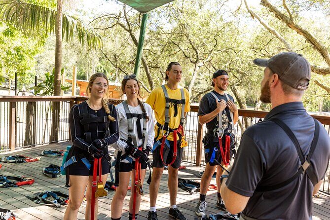 TreeTop Challenge Currumbin Wildlife Park - The Sum Up: Is the TreeTop Challenge the Right Choice?