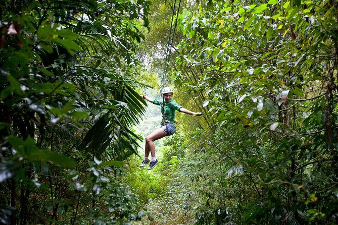 Treetop Zipline Experience From Castries - Final Thoughts: Is This Tour Right for You?