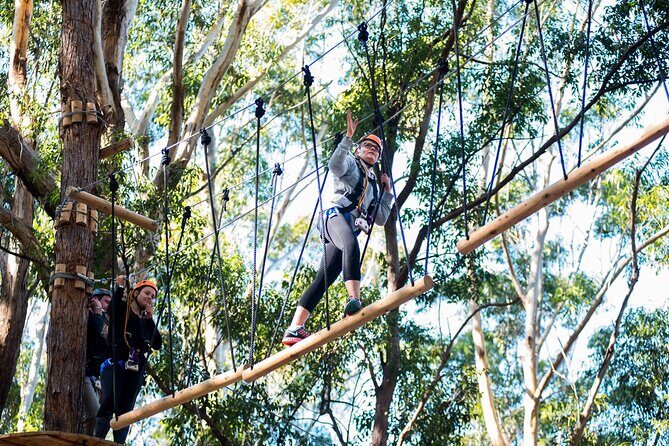 Treetops Adventure Coffs Harbour Tree Ropes Course - A Detailed Look at the Treetops Adventure Experience